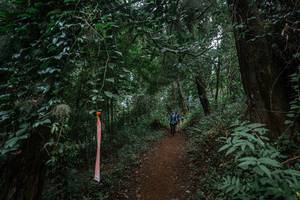 BIB: 
                            <button type="button" onclick="openModal(22795622)" class="btn btn-primary btn-sm float-right btn-popup" data-toggle="modal" data-target=".modal-high-quality">
                        <i class="fas fa-shopping-cart"></i> Add to Cart
                    </button>
                                            <button type="button" onclick="isThisMe(22795622, true)" class="btn btn-success btn-sm float-right btn-popup btn-isme hidden" data-toggle="tooltip" data-placement="bottom" title="นี่คือรูปของคุณใช่ไหม คลิกที่นี่เพื่อเอาเข้าอัลบั้ม">
                        <i class="fas fa-plus"></i> Add to album
                    </button>
                    <button type="button" onclick="isThisMe(22795622, false)" class="btn btn-warning btn-sm float-right btn-popup btn-isnotme hidden">
                        <i class="fas fa-ban"></i> Remove from album
                    </button>